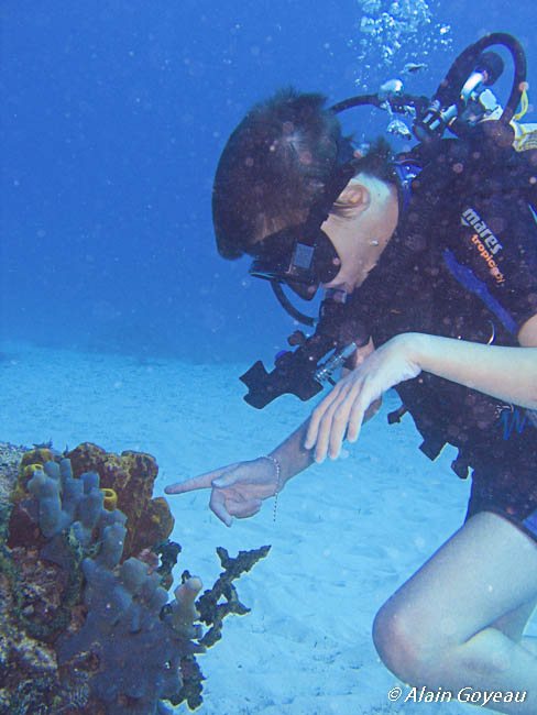 Spécialités Plongée Padi Spécialités Plongée Padi