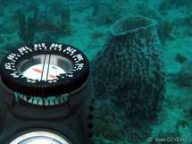 Spécialités Plongée Padi Spécialités Plongée Padi