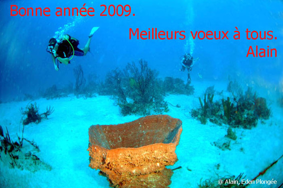Bonne année et meilleurs voeux 2009. Bonne année et meilleurs voeux 2009.