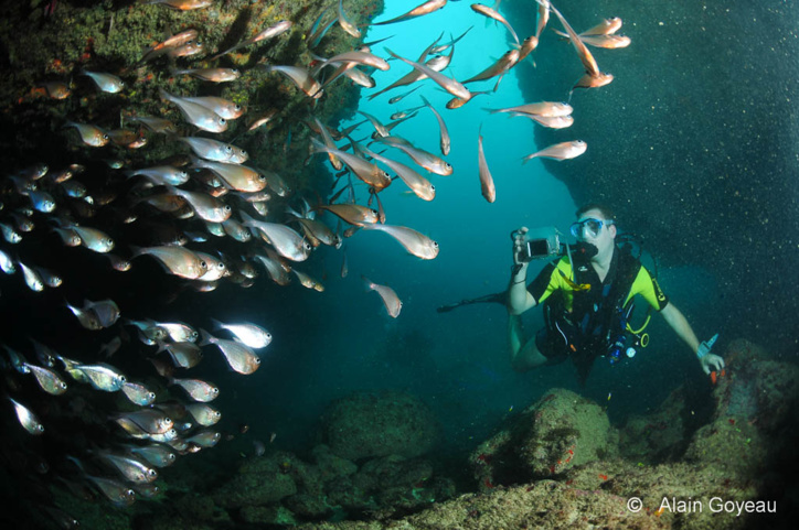 Les Grottes de Port Louis et du Nord Grande Terre. Les Grottes de Port Louis et du Nord Grande Terre.
