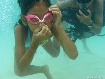 Journée mondiale de l'Océan en Guadeloupe. Journée mondiale de l'Océan en Guadeloupe.