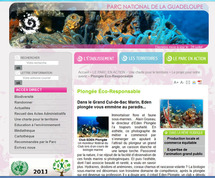 Plongée éco-responsable. Plongée éco-responsable.