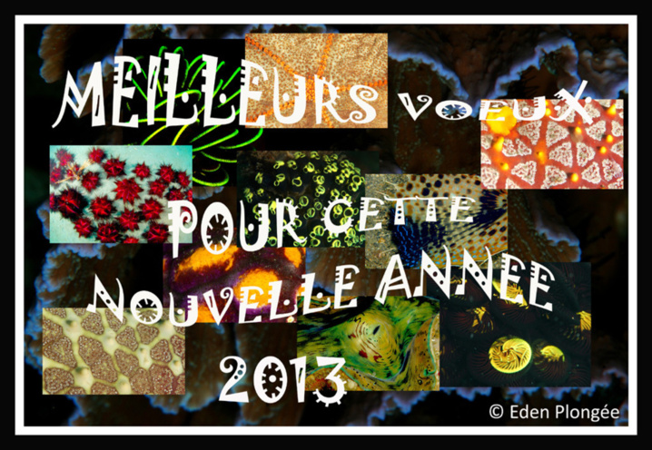 Voeux 2012.