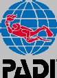 Padi