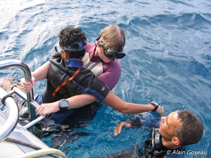 Technique de hissage de l'accidenté à bord du bateau par l'échelle. Technique de hissage de l'accidenté à bord du bateau par l'échelle.