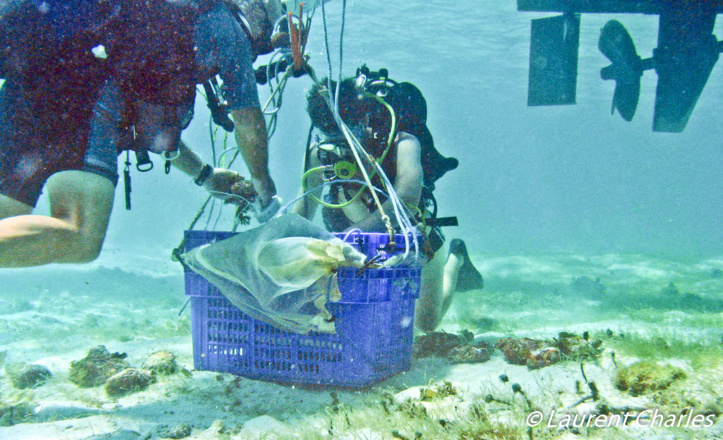 Une journée type de la mission Karubenthos. Une journée type de la mission Karubenthos.