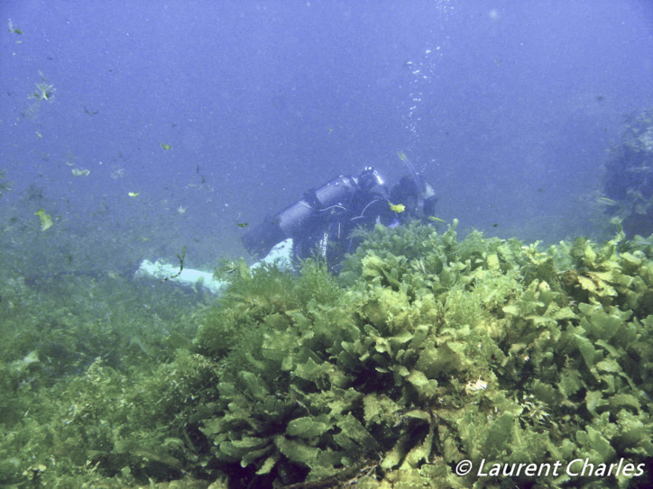 Une journée type de la mission Karubenthos. Une journée type de la mission Karubenthos.