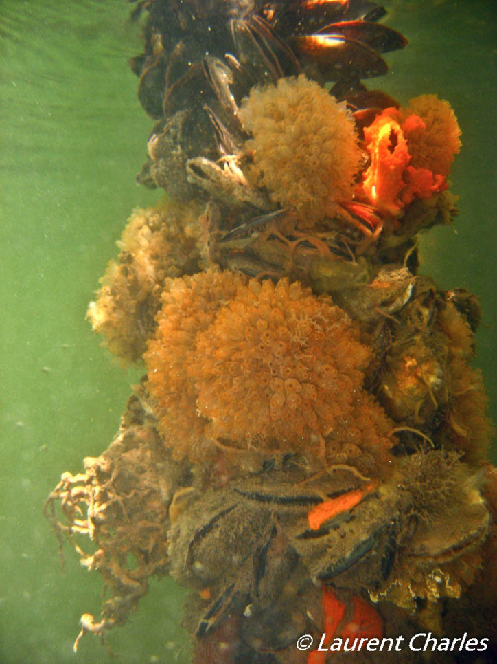 Une journée type de la mission Karubenthos. Une journée type de la mission Karubenthos.