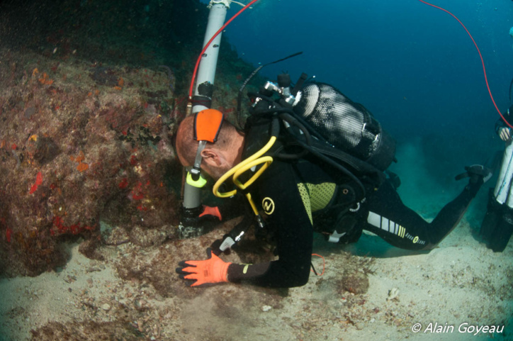 Une journée type de la mission Karubenthos. Une journée type de la mission Karubenthos.