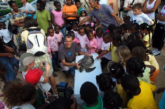 Remise à l'eau de 2 tortues à Port Louis.