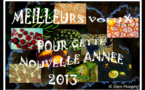 Voeux 2012.