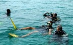 Vous n'avez jamais fait de plongée sous-marine ?