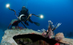 Stage photo sous-marine numérique.