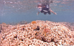 Rando (Snorkeling) : Mode d'emploi.