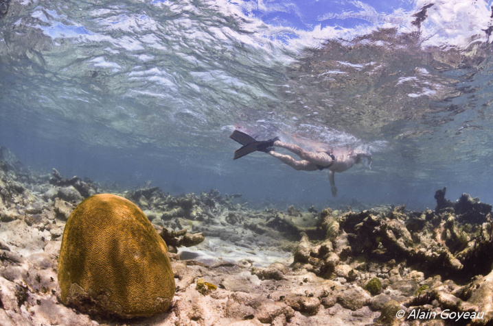 Randonnée Palmée avec Eden Plongée. Randonnée Palmée avec Eden Plongée.