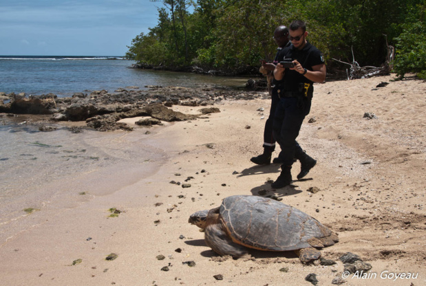 Trop heureuse de retrouver son élément. Trop heureuse de retrouver son élément.