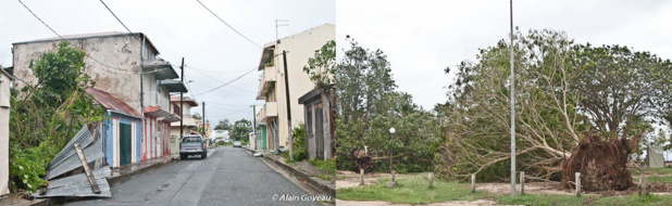 Tôles de clôture arrachées et arbres déracinés au Souffleur. Tôles de clôture arrachées et arbres déracinés au Souffleur.