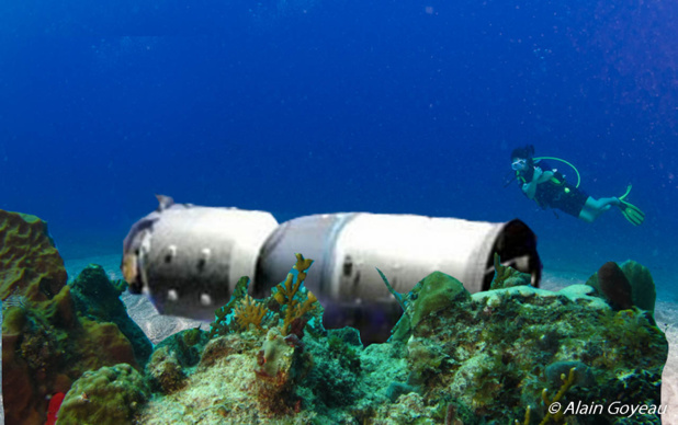 Palais Céleste, un nouveau spot de plongée à Port-Louis en Guadeloupe. Palais Céleste, un nouveau spot de plongée à Port-Louis en Guadeloupe.
