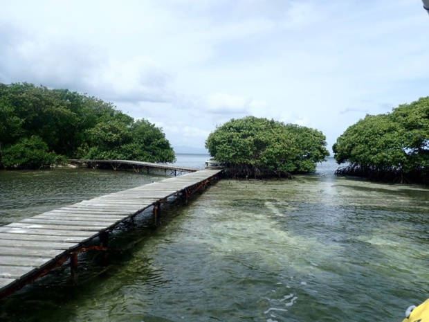 L'ile aux Oiseaux, dans le Grand Cul de Sac Marin. L'ile aux Oiseaux, dans le Grand Cul de Sac Marin.