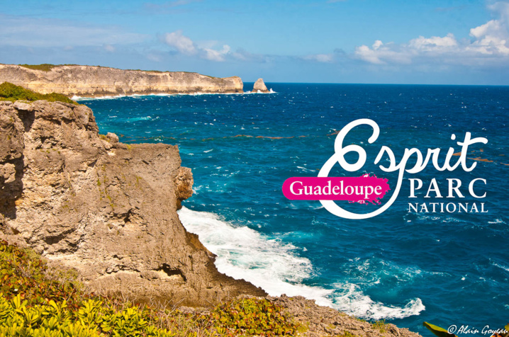 Parc National Guadeloupe - La Grande Vigie. Parc National Guadeloupe - La Grande Vigie.