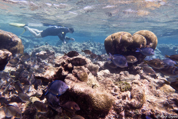 La barrière de corail du Grand Cul de Sac Marin.