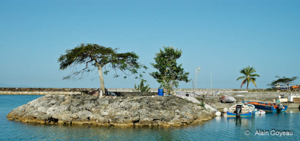 L'ancien port de Pêche de Port Louis en Guadeloupe.