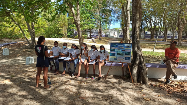 En attendant le baptême de plongée, découverte des mammifères marins avec Mon Ecole ma Baleine. En attendant le baptême de plongée, découverte des mammifères marins avec Mon Ecole ma Baleine.
