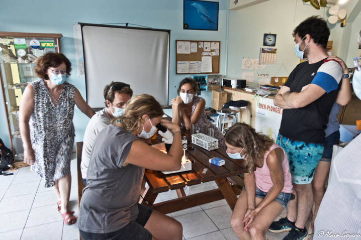 Observations de minuscules organismes à l'aide d'une loupe binoculaire. Observations de minuscules organismes à l'aide d'une loupe binoculaire.