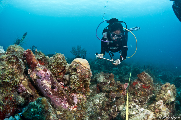 Corail mort ou vivant ? Relevé de l'état du récif.