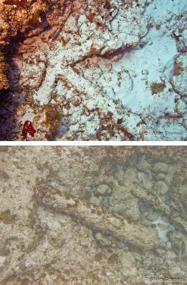 Les vestiges du passé maritime de la Guadeloupe, une ancre et un canon sur les sites de plongées de Port Louis. Les vestiges du passé maritime de la Guadeloupe, une ancre et un canon sur les sites de plongées de Port Louis.