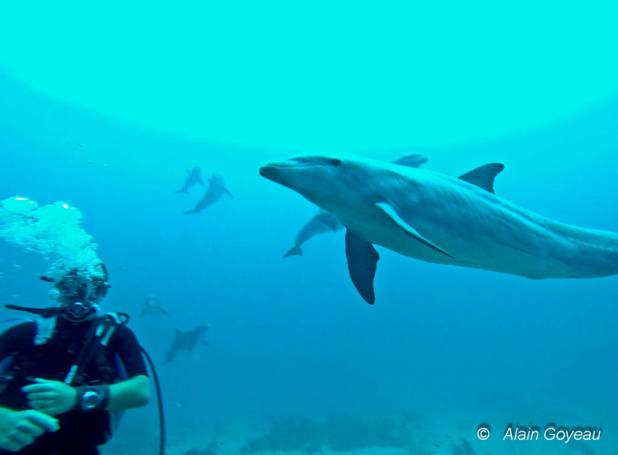 La dernière image du Chinois sur le site de l'Avion à Port Louis en Guadeloupe. La dernière image du Chinois sur le site de l'Avion à Port Louis en Guadeloupe.