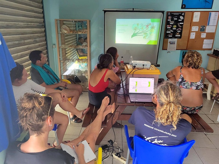 Stages de formation Plongeur Bio 1 à Eden Plongée.