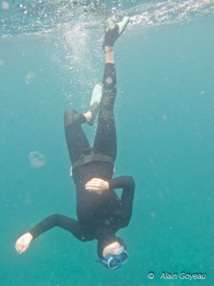 Reste-t-il des requins et des raies de récif en Guadeloupe ? Reste-t-il des requins et des raies de récif en Guadeloupe ?