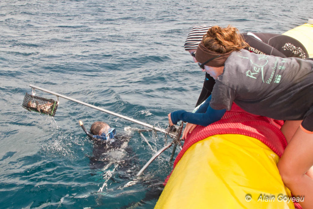 Les caméras sont relevées toutes les heures. Les caméras sont relevées toutes les heures.
