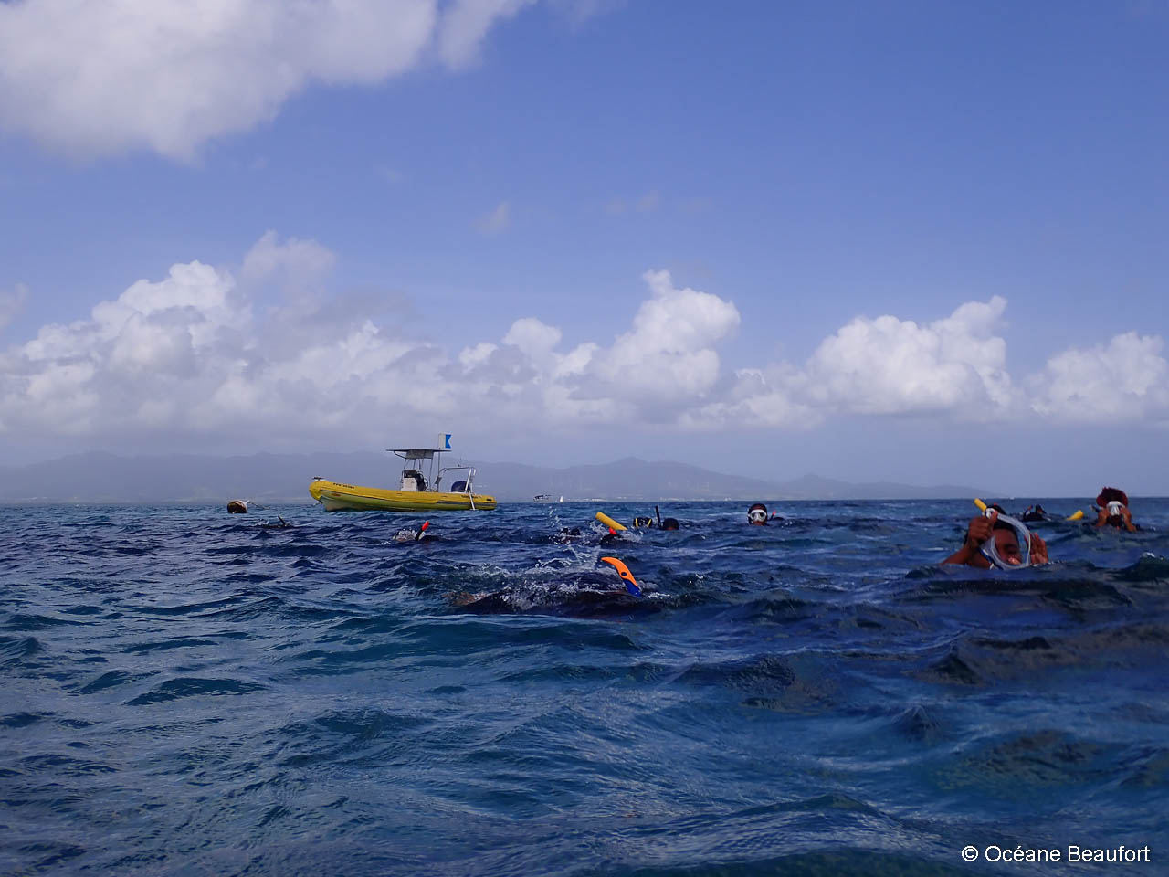 Départ pour la randonnée palmée. Départ pour la randonnée palmée.