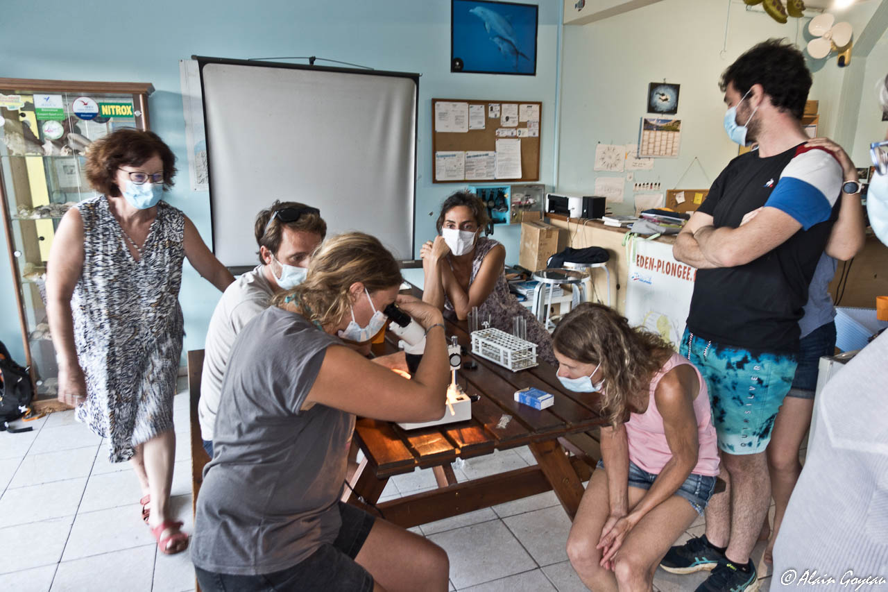 Observations de minuscules organismes à l'aide d'une loupe binoculaire. Observations de minuscules organismes à l'aide d'une loupe binoculaire.