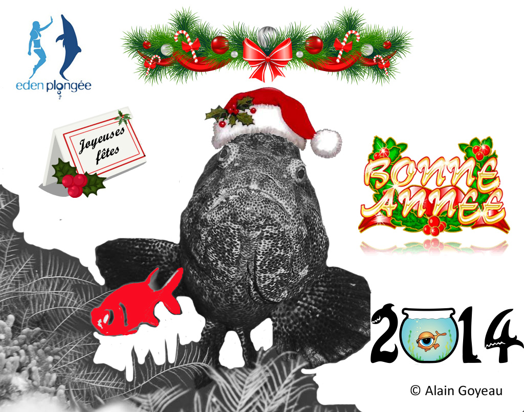 Trés bonne année 2014. Trés bonne année 2014.