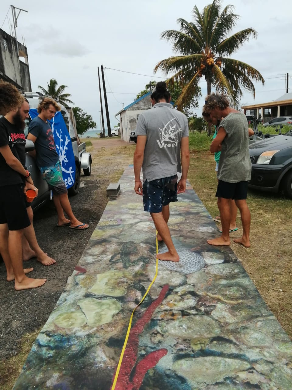 Apprendre à reconaitre le type de substrat le long du transect.