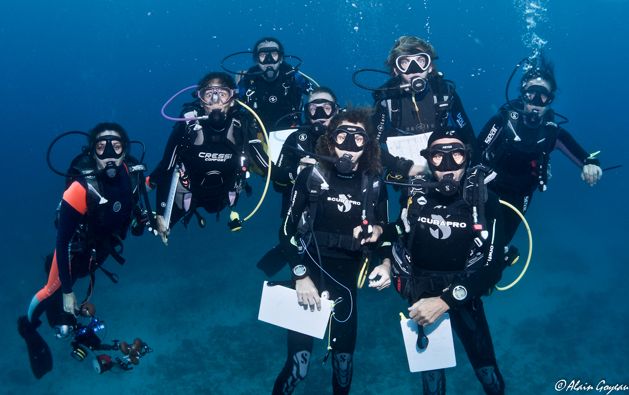 Mission terminée aprés un peu plus d'une heure dans l'eau.