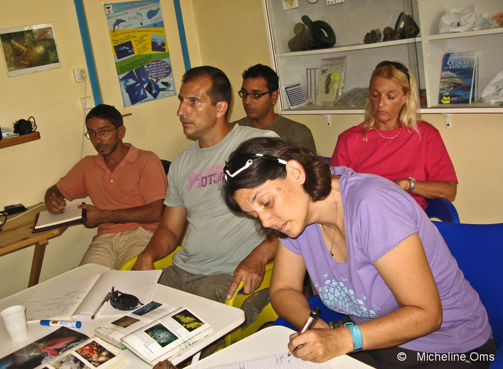 Les stagiaires 2013 de biologie sous-marine niveau 1.