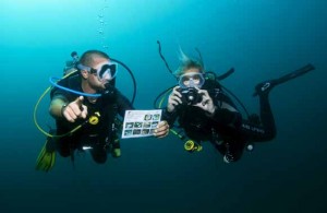 Challenge photo nature Fun Explorers Antilles.