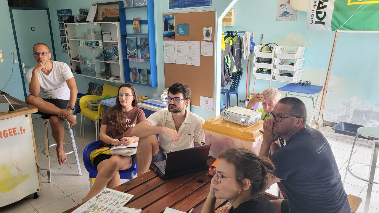Des stagiaire Bio 2 attentifs au cours théoriques. Des stagiaire Bio 2 attentifs au cours théoriques.