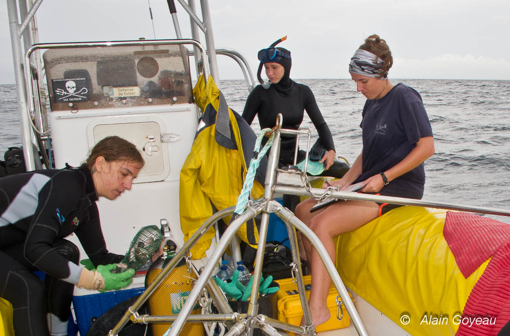Préparation des appats et des caméras sur le bateau d'Eden Plongée.