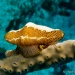 IMG_4953 IMG_4953