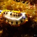 IMG_5240 IMG_5240