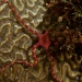 DSC_6687 DSC_6687