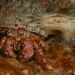 DSC_6755 DSC_6755