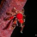 DSC_6757 DSC_6757