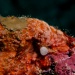 IMG_4699 IMG_4699