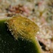 IMG_4734 IMG_4734